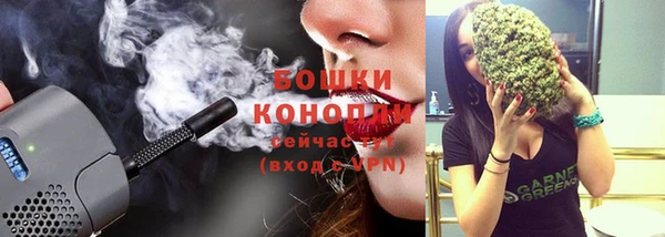 гидропоника Каменка