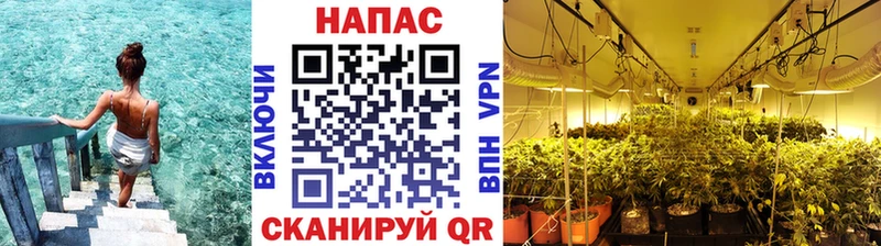 сколько стоит  Себеж  Канабис AK-47 